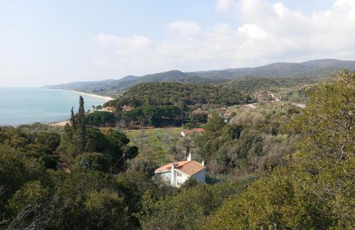 Villa Helga by the Sea - Photo 57