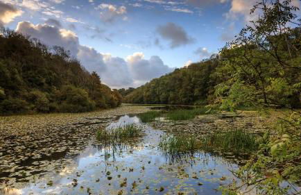 Spacious 4 Bedroom Farmhouse - Photo 60