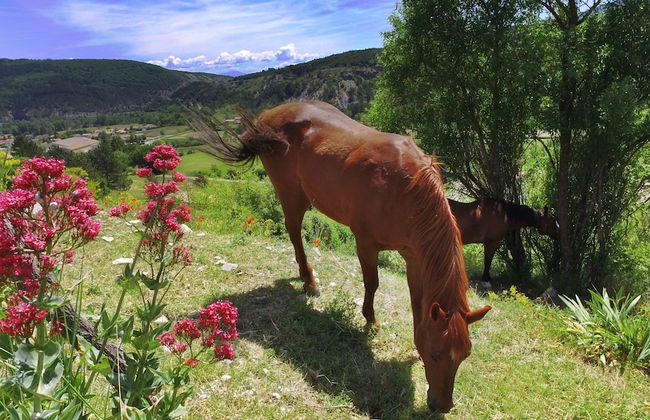 VVF Haute Provence, Lagrand - Foto 26