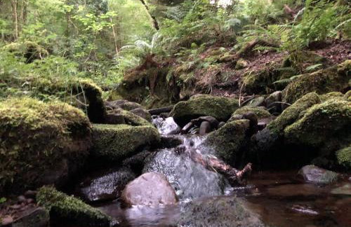 Very Special Home In Rhondda Valley Herbert House By STAE-Homes - Foto 31