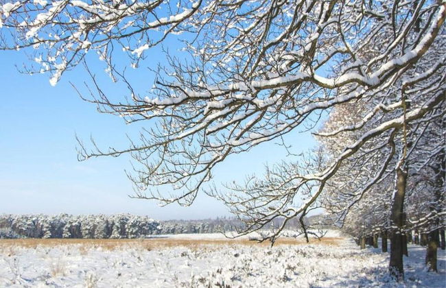 Private Chalet in the Woods - Photo 36