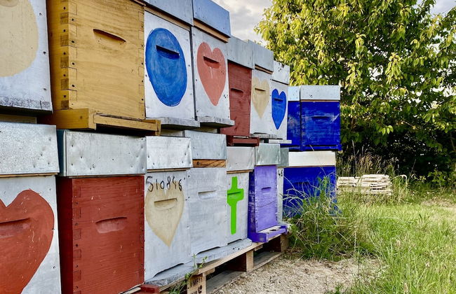 L'intemporel - Photo 44