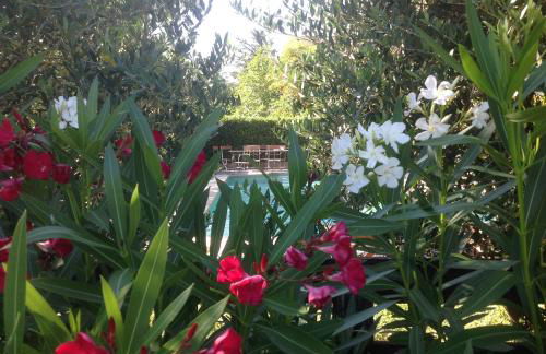 La Jacquemarie - Foto 8