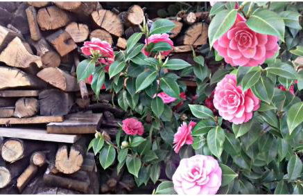 La Torretta - Foto 58