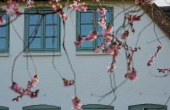 Nordfriesisches Apartement Auf Der Insel Föhr - Foto 11