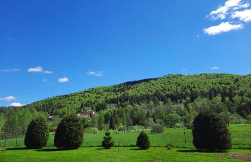 Domki pod Lipą. - Foto 43