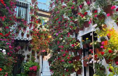 Ático Casa Lola - Foto 39