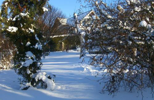 Haus Maria - Foto 20