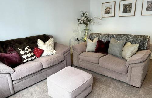 Penny Black Apartment, Kington - Foto 8