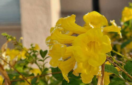 Casa Sunrise, Large Home, Minutes from Airport, YRMC, Mexico Borders - Foto 31