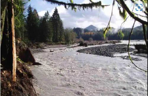 Cozy Cedar Cabin Steps Away From Mt. Rainier - Foto 8