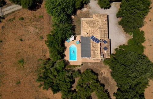 Finca Katia - Photo 5