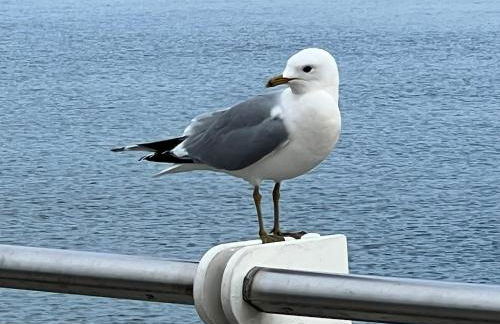 Ferienwohnung Ankerplatz 43 im Olympiazentrum Schilksee - Foto 25
