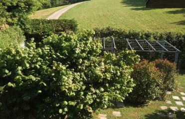 Panta rhei - Foto 19