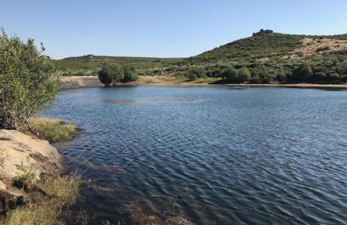 Quinchoso dos Bentos - Foto 66