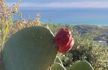 Casa Mare * Monte * Mille Stelle - Foto 20