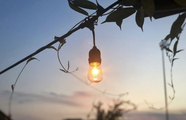 Beautiful Midtown Apartment - Huv - Photo 1