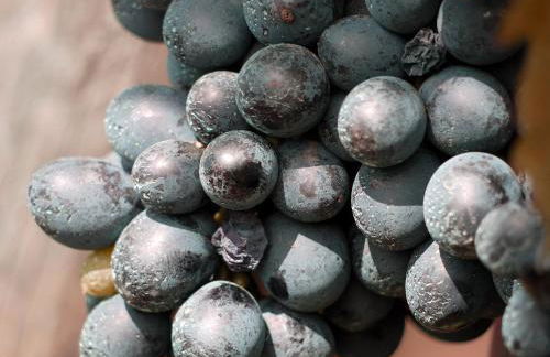 Residenza la beccata - Photo 27