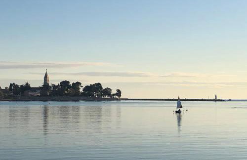 App Sorgo - Photo 57