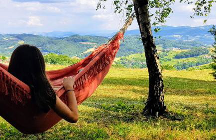 Dom na Kamieńcu - Photo 3