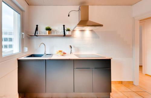 Lexapartments Stuttgart Wasen Toplage 75-96qm - Foto 24