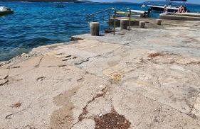 Apartman Ivana Šibenik, Brodarica - Foto 17