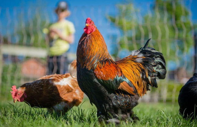 Holiday Apartment Sunrise - Foto 9