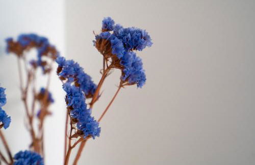 Narcisse Bienvenue - Élégance et Raffinement - Photo 15