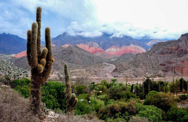 Excursión a las Salinas Grandes - Foto 3