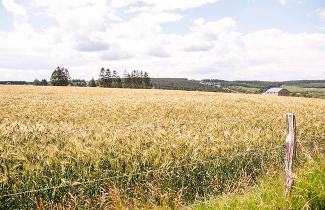 Peaceful Retreat With Sauna - Photo 33