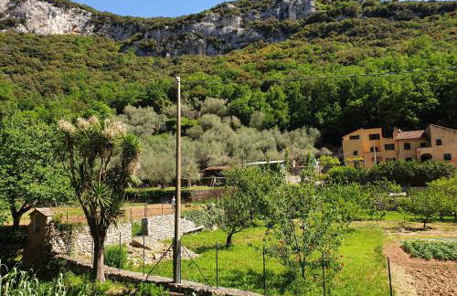 Agriturismo Alveare - Foto 42
