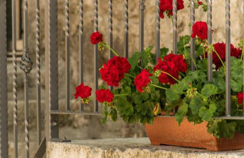 Holiday Home Godinj - Foto 33