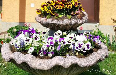 Guesthouse Ana&Ljubo - Foto 15