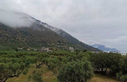 Family house near the sea - Foto 35