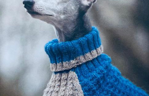 Bluebell Farm - Foto 72