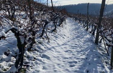 AlbLounge VIP Appartement - Foto 48