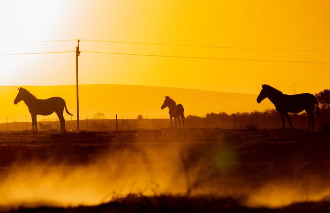 L'Ermitage Quagga Lodge - Photo 21