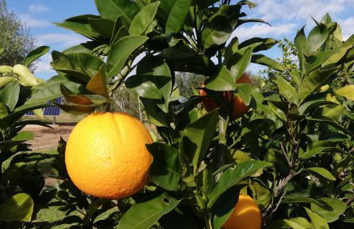 Burrico D`Orada - Rural Stays & Wine Country Tours - Foto 66