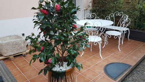 23 Rue Jean Amade - Foto 4