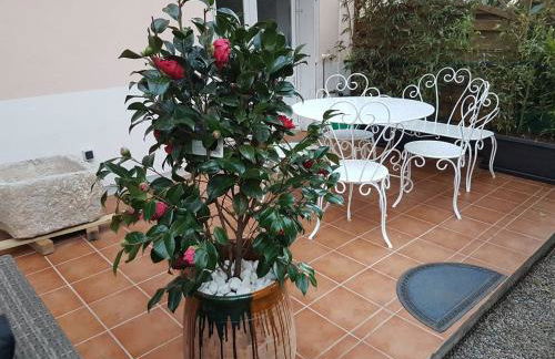 23 Rue Jean Amade - Foto 4