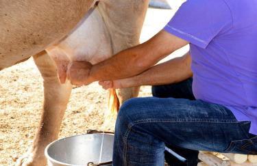 Country House S'Ozzastru - Foto 70