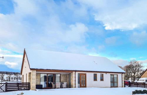 Terra Verde - Foto 15