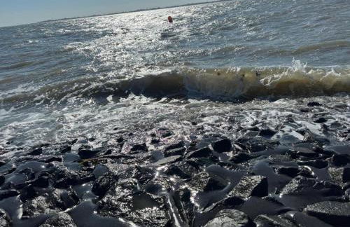 Grommy`s 2 Eckwarden - Foto 44