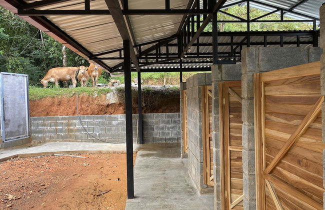 Esquipulas Rainforest - Foto 19