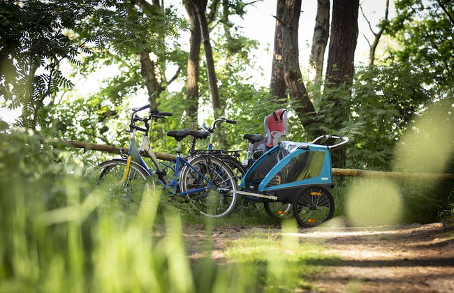 Reetland am Meer - Photo 38