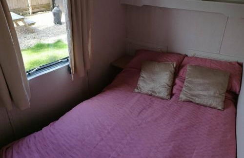 Poplar Lodge Log Caravan - Foto 15