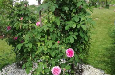 Ferienwohnung am Benther Berg - Foto 32