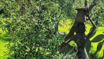 Cozy barn in the green - Foto 3, Garden view