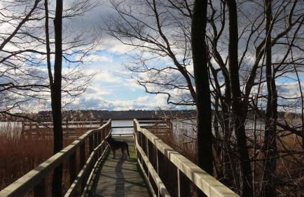 Ferienwohnung "Specker Krug" - Foto 13