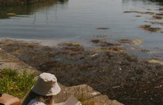 The Boathouse at Old Court - Foto 14